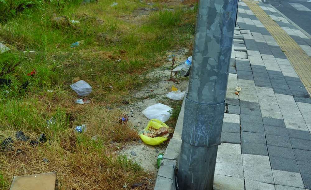 Emlak Konutları Bölgesini Fareler Bastı 