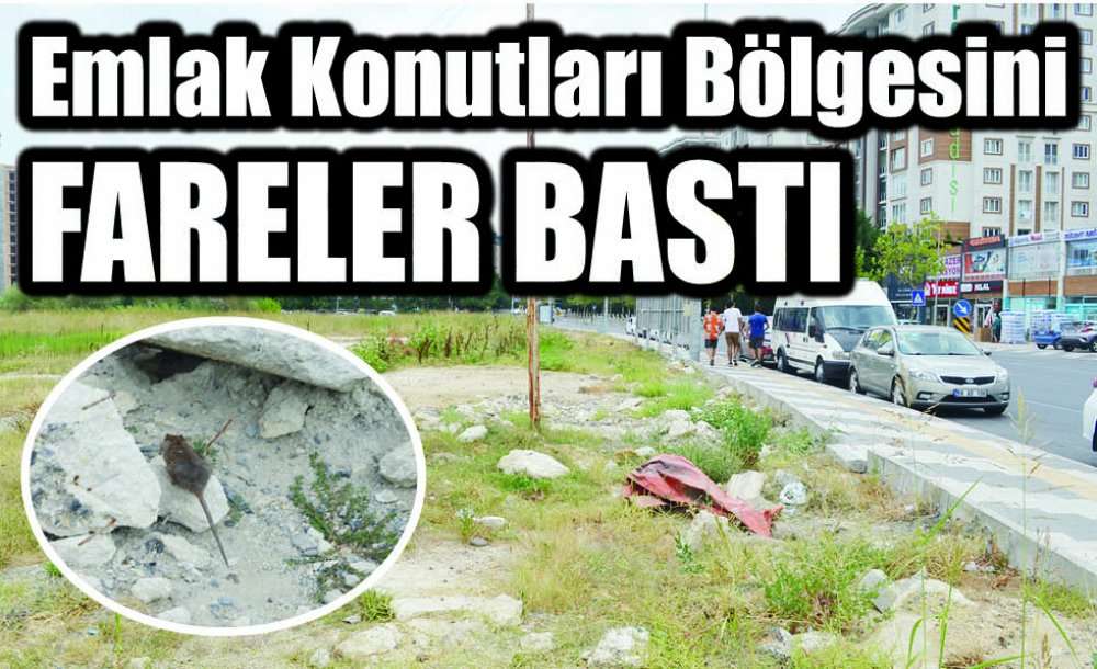 Emlak Konutları Bölgesini Fareler Bastı 