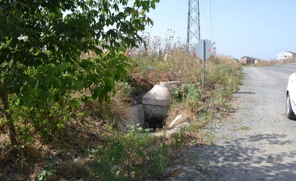O Bölgelerle İlgili Hala Çalışma Yok!
