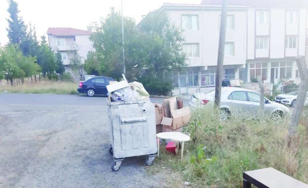 Bu Görüntüye Vatandaşlar Tepki Gösterdi 