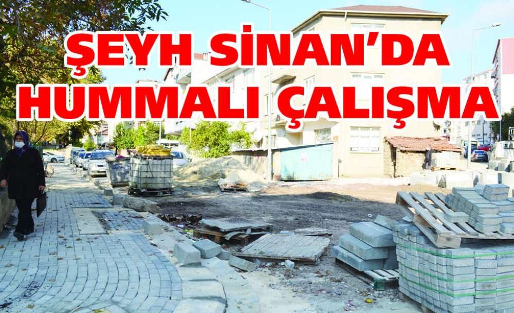 Şeyh Sinan'da Hummalı Çalışma