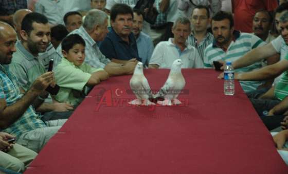 Kanatlı Hayvanları Sevenler Derneği İftarda Buluştu