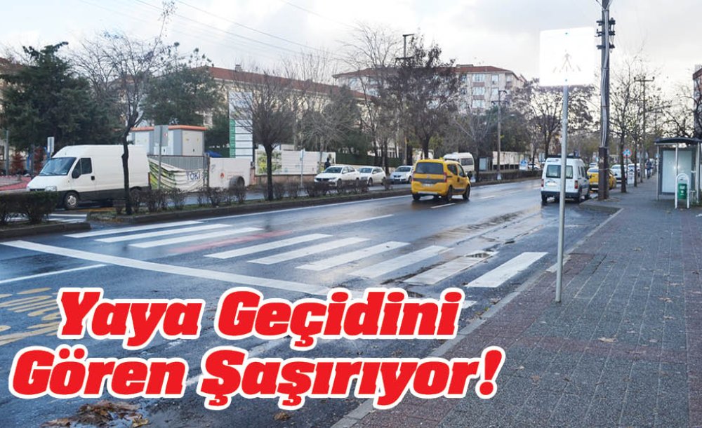 Yaya Geçidini Gören Şaşırıyor!