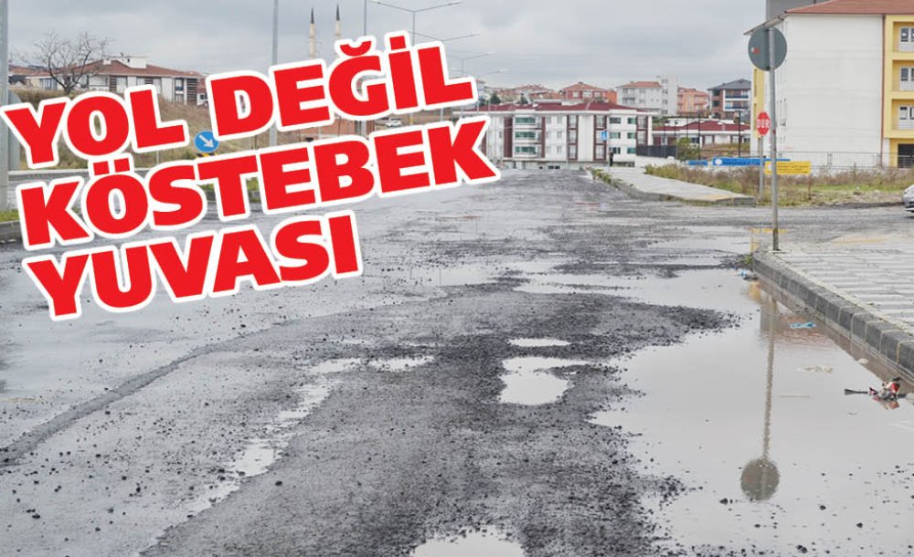 Yol Değil Köstebek Yuvası