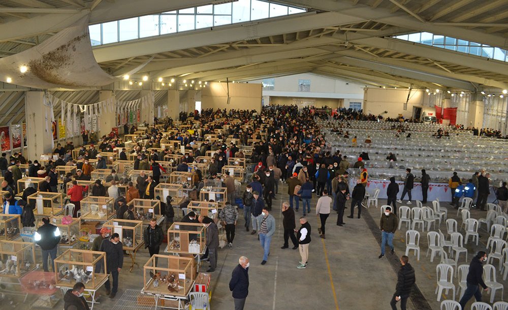 Festival Büyük İlgi Gördü 