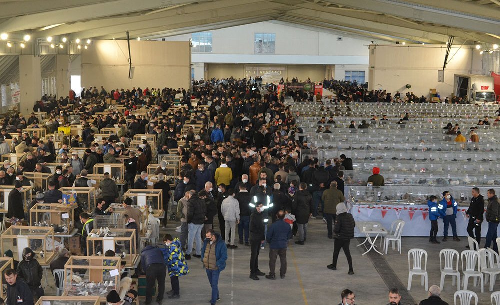 Festival Büyük İlgi Gördü 