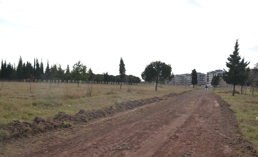 Tema Parkı'nda Yürüyüş Yolları Düzenlendi 