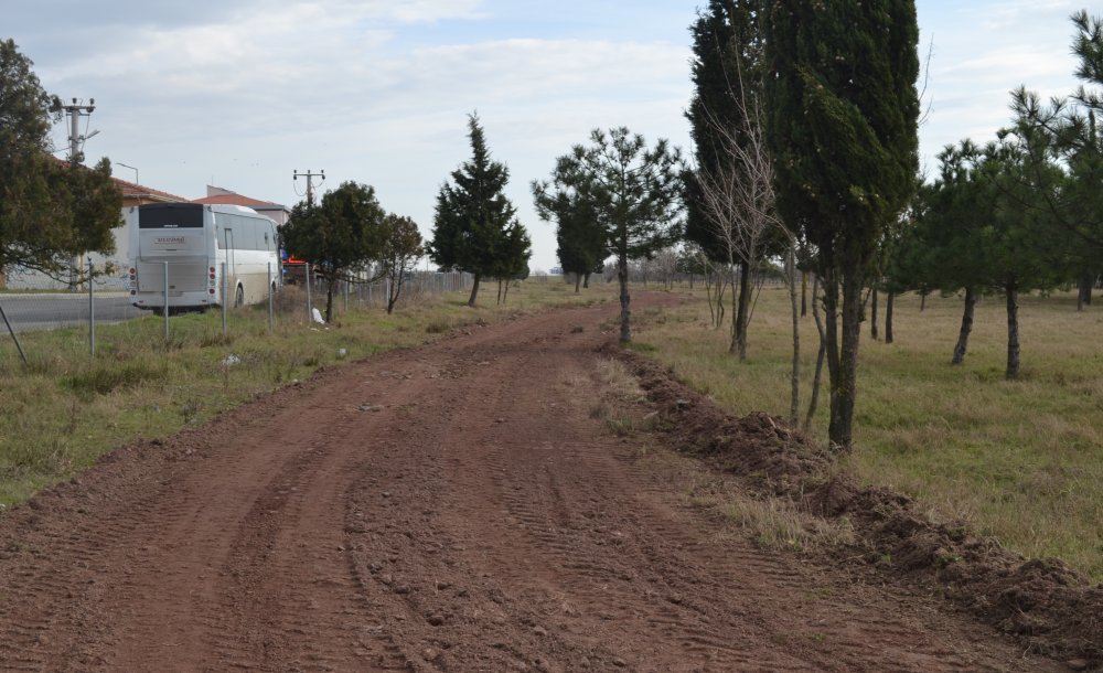Tema Parkı'nda Yürüyüş Yolları Düzenlendi 