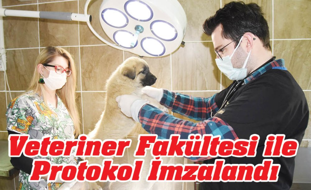 Veteriner Fakültesi Ile Protokol İmzaladı