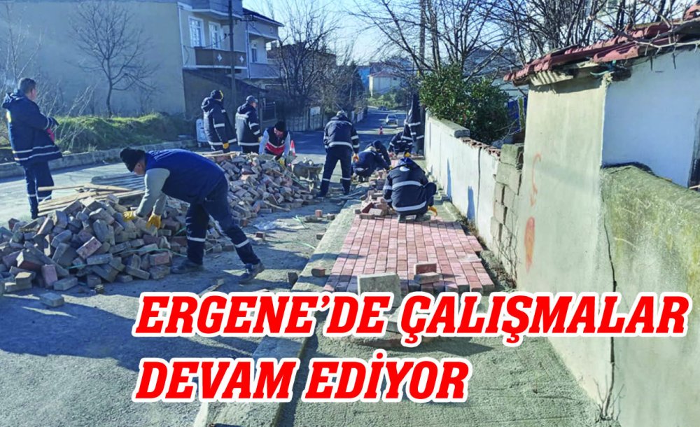 Ergene'de Çalışmalar Devam Ediyor