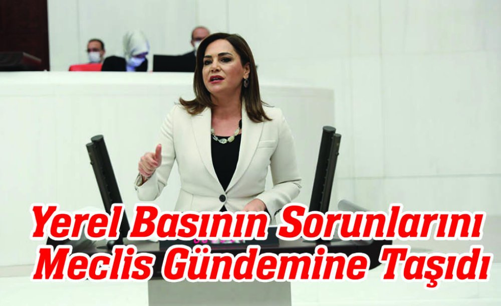 Yerel Basının Sorunlarını Meclis Gündemine Taşıdı