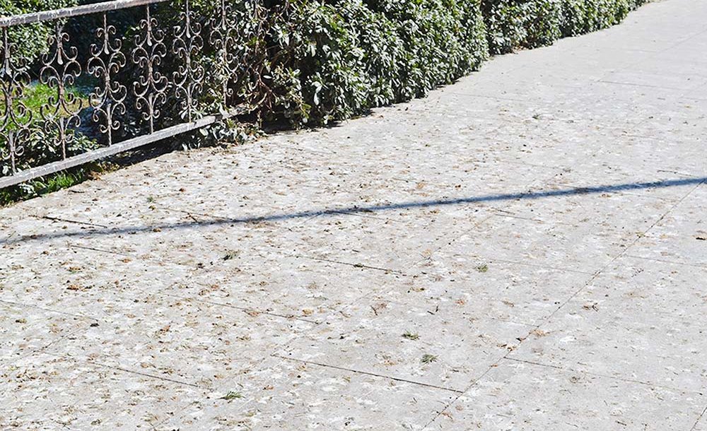 Müzenin Önü Hiç Mi Temizlenmiyor?