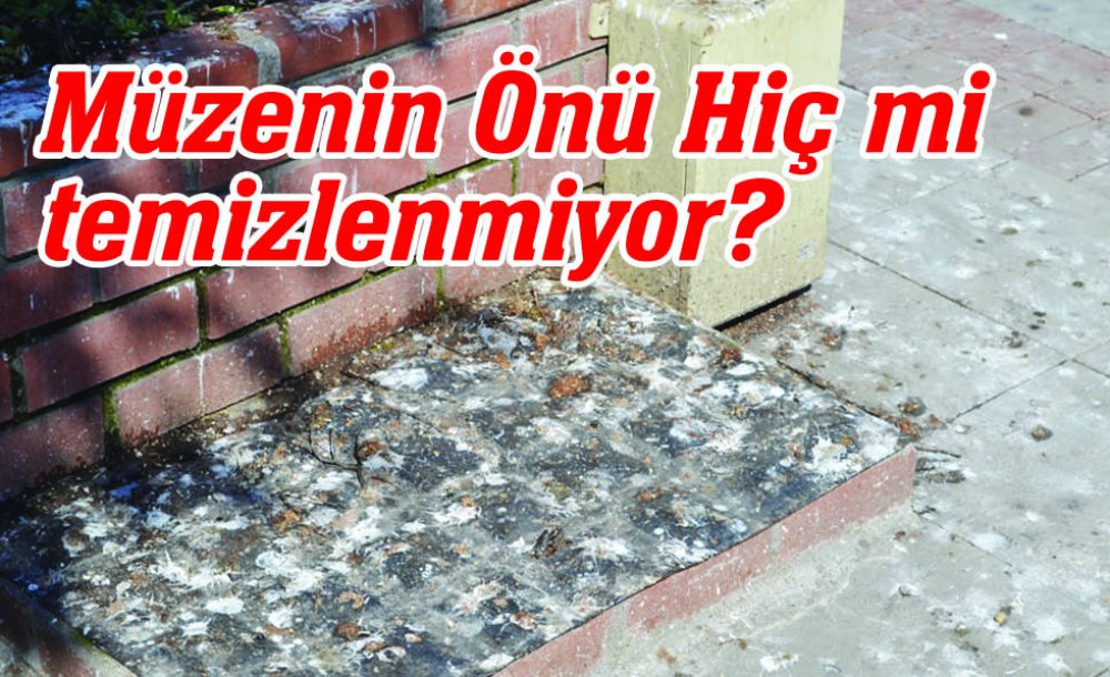 Müzenin Önü Hiç Mi Temizlenmiyor?