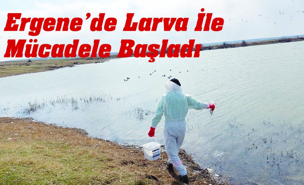 Ergenede Larva İle Mücadele Başladı