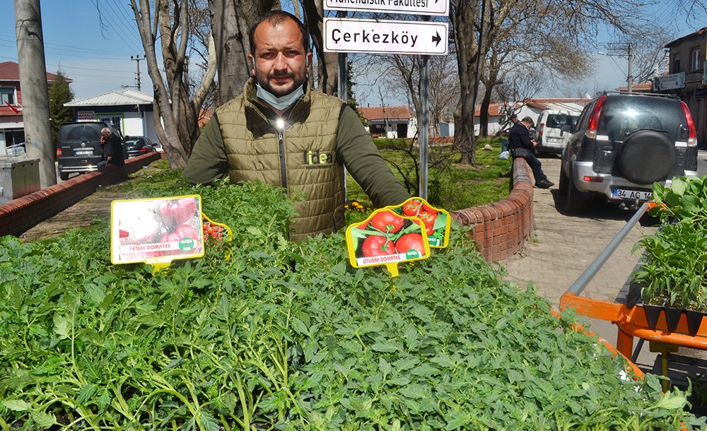 Sebze Fidesi Satışları Başladı