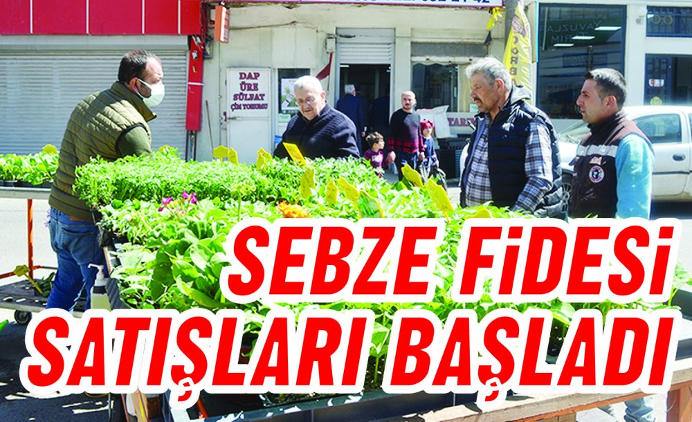 Sebze Fidesi Satışları Başladı 