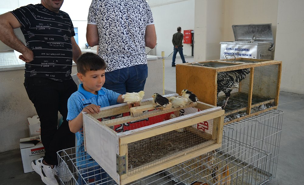 Festival Büyük İlgi Gördü 