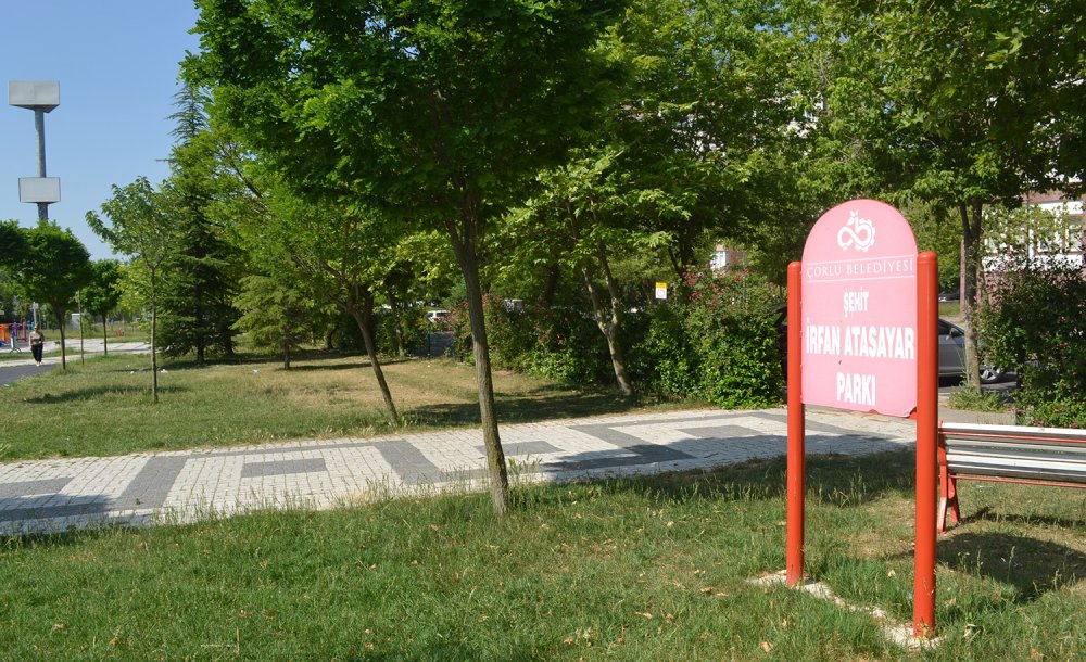 Çöpleri Çöp Kutusu Yerine Yerlere Atıyorlar