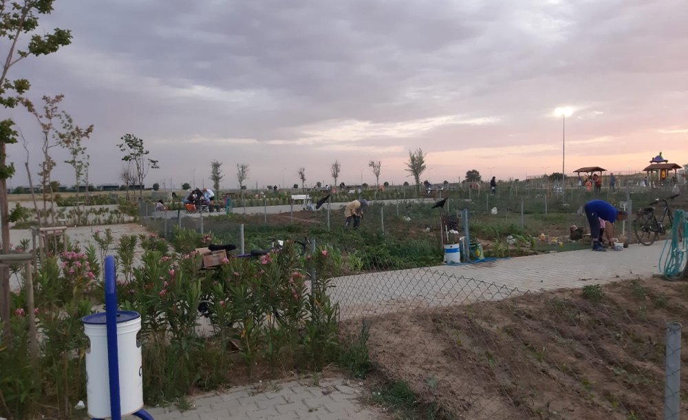 Vatandaşlar Hobi Bahçesi'nde Stres Atıyor