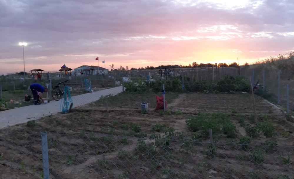 Vatandaşlar Hobi Bahçesi'nde Stres Atıyor