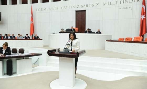 Chp'li Yüceer Kızılay'ı Meclise Taşıdı