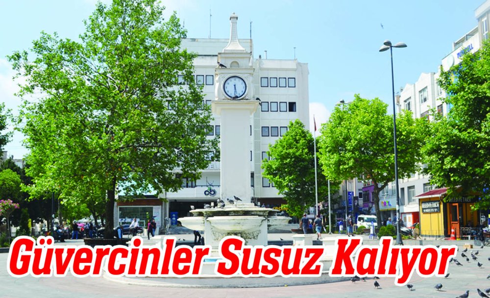 Güvercinler Susuz Kalıyor
