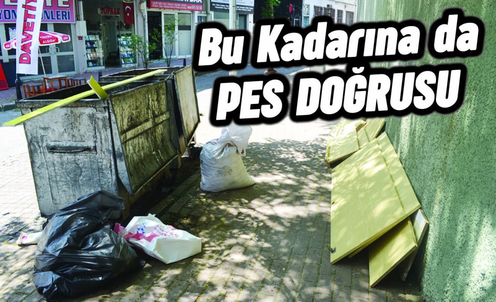 Bu Kadarına Da Pes Doğrusu 