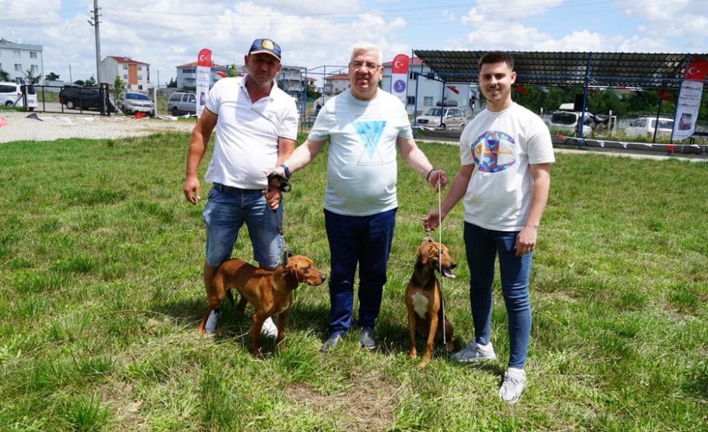 Ergene'de Köpek Güzellik Yarışması Yapıldı