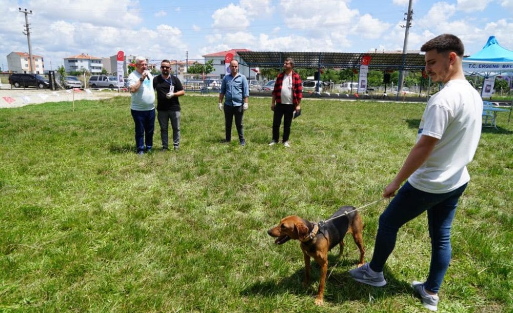 Ergene'de Köpek Güzellik Yarışması Yapıldı