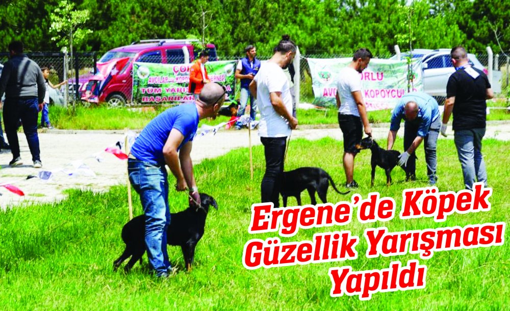 Ergene'de Köpek Güzellik Yarışması Yapıldı