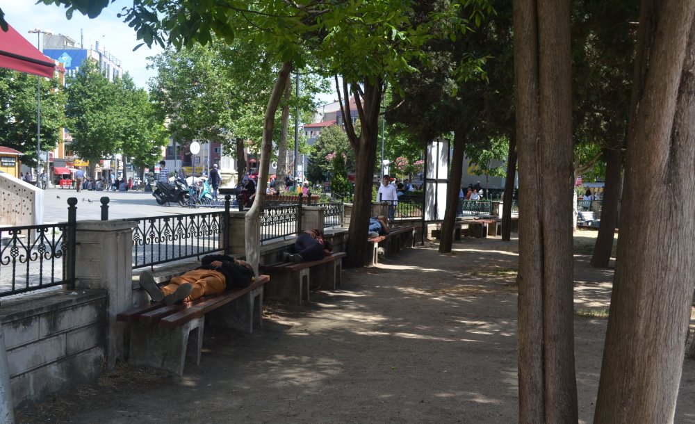 Caminin Bahçesi Vatandaşlar İçin Uyuma Yeri Oldu