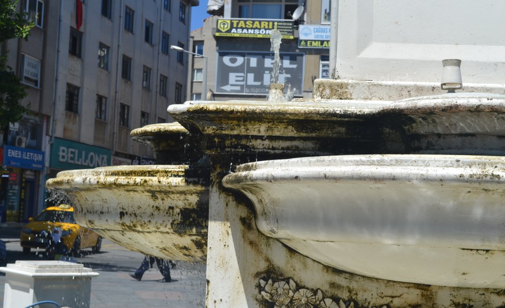 Bu Görüntü Tepki Çekti