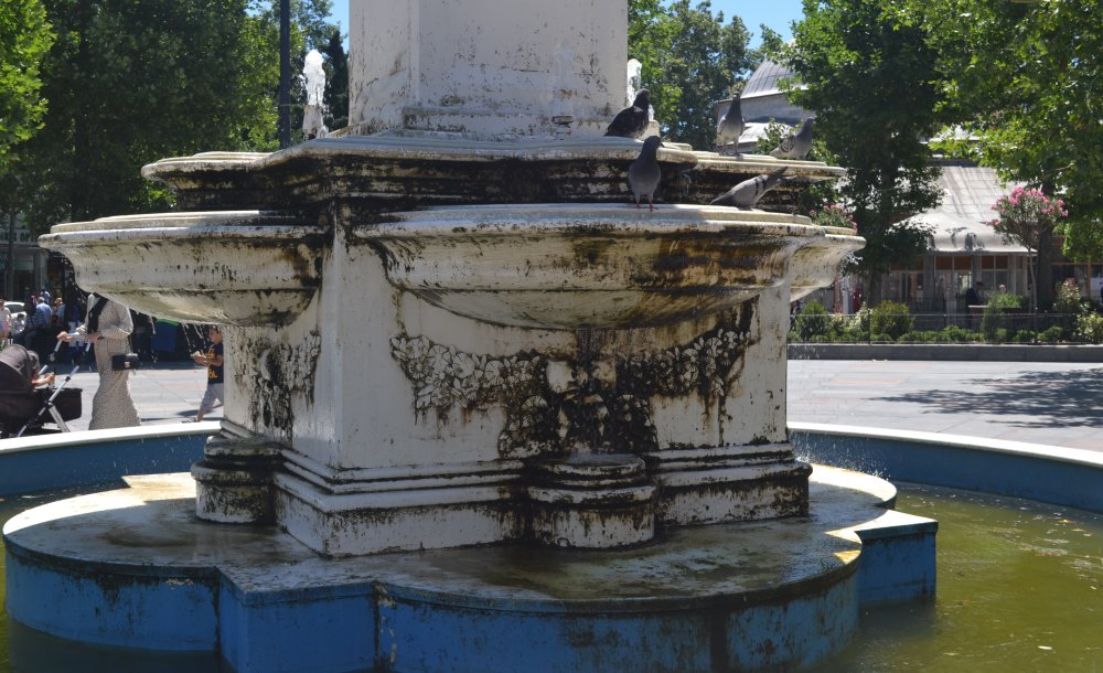 Bu Görüntü Tepki Çekti