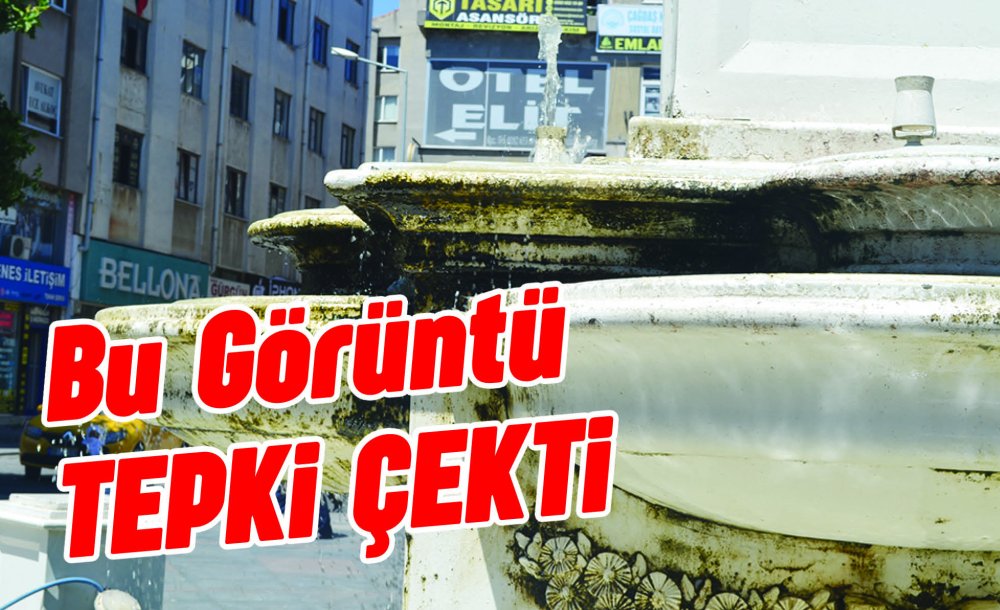 Bu Görüntü Tepki Çekti