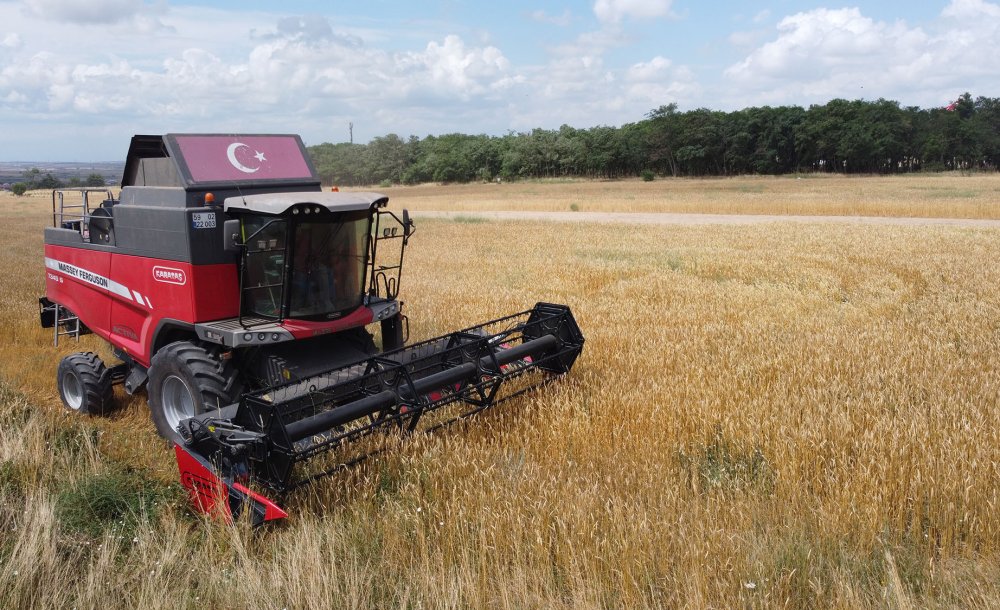 Hasat Edilen Buğdaylar Sofralarla Buluşacak