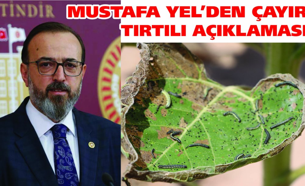Mustafa Yel'den Çayır Tırtılı Açıklaması