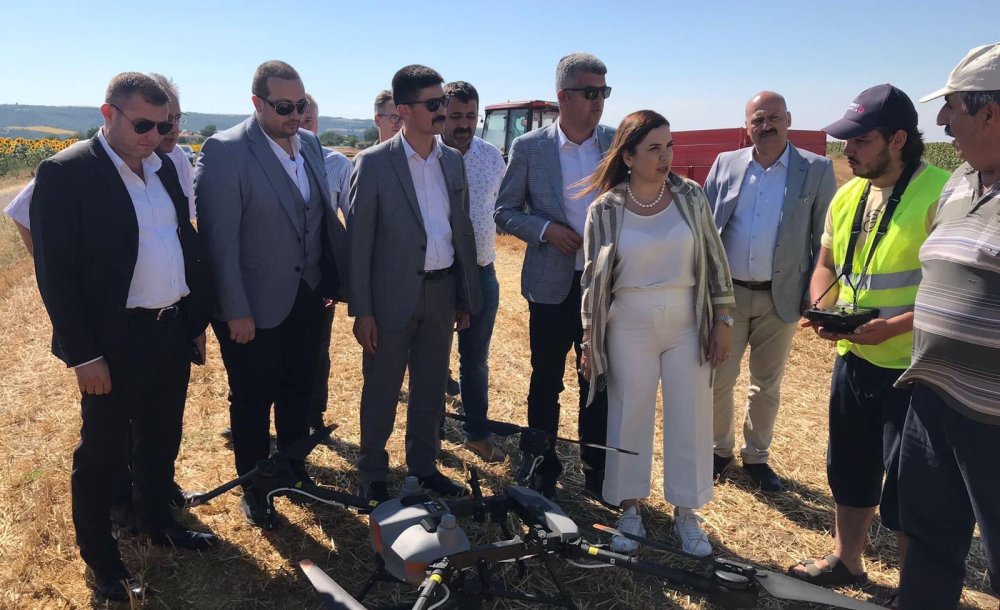 Mhp, Çayır Tırtılı İle İlgili Mücadele Başlattı