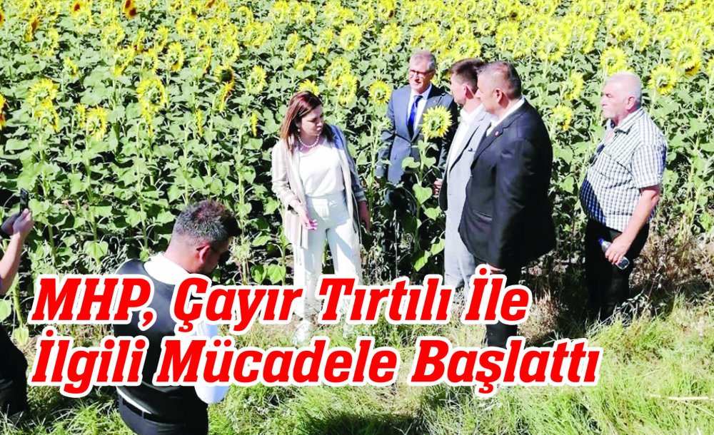 Mhp, Çayır Tırtılı İle İlgili Mücadele Başlattı