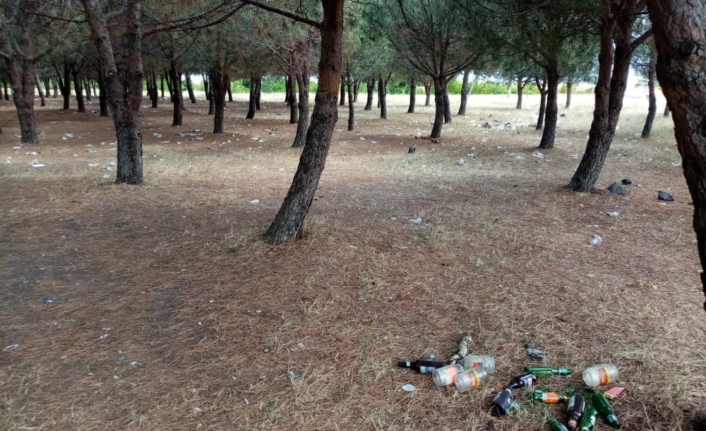 Tema Parkı'nın Kaderi Hiç Değişmiyor