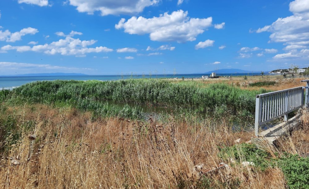 Marmara Denizine Dökülen Dere, Kötü Koku Yayıyor!