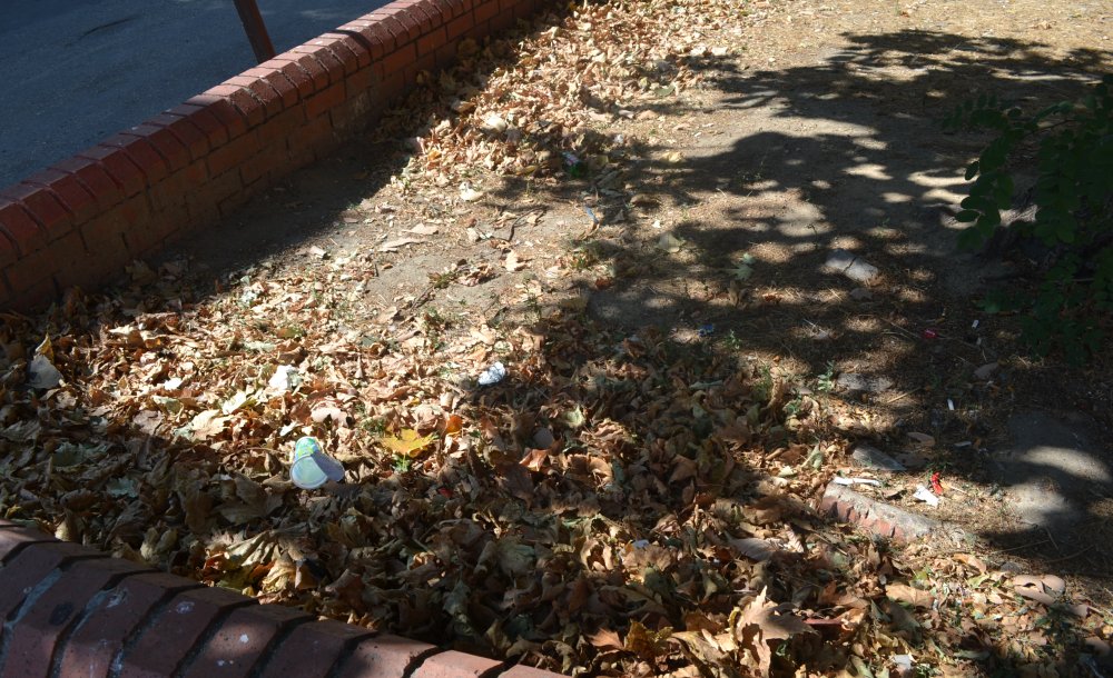 “Park Demeye Bin Şahit İster”