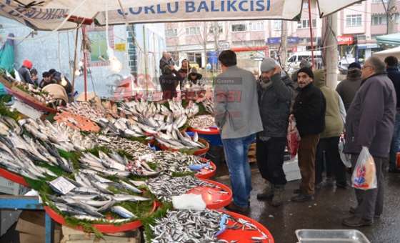 Havalar Soğudu Balık Azaldı  