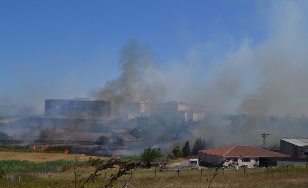 Mühendislik Fakültesi Yerleşkesinde Yangın Paniği 