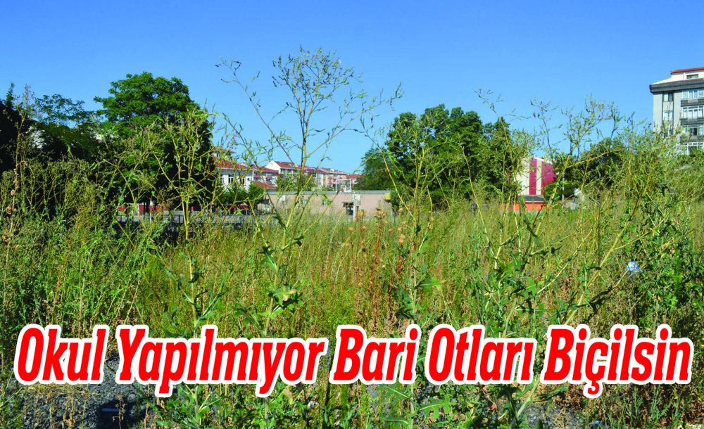Okul Yapılmıyor Bari Otları Biçilsin