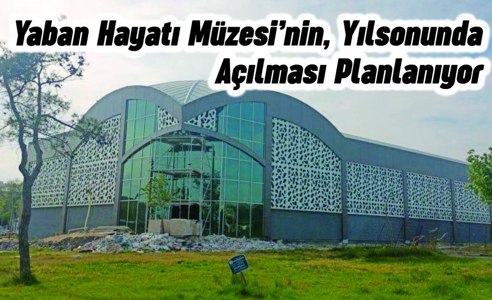 Yaban Hayatı Müzesi, Yılsonunda Açılması Planlanıyor