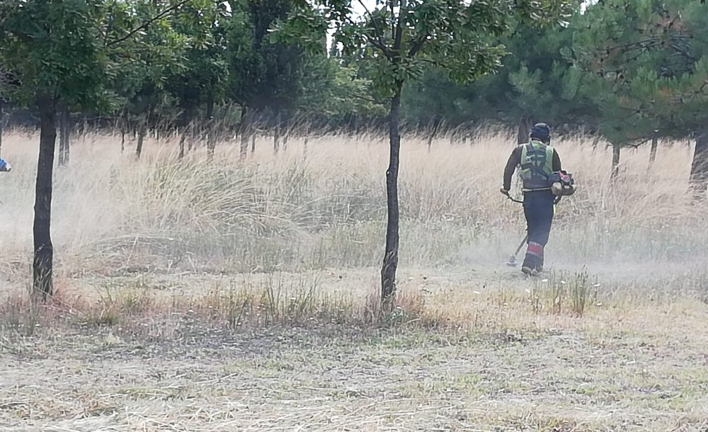 Otlar Biçildi Fakat Etraf Pislik İçinde 