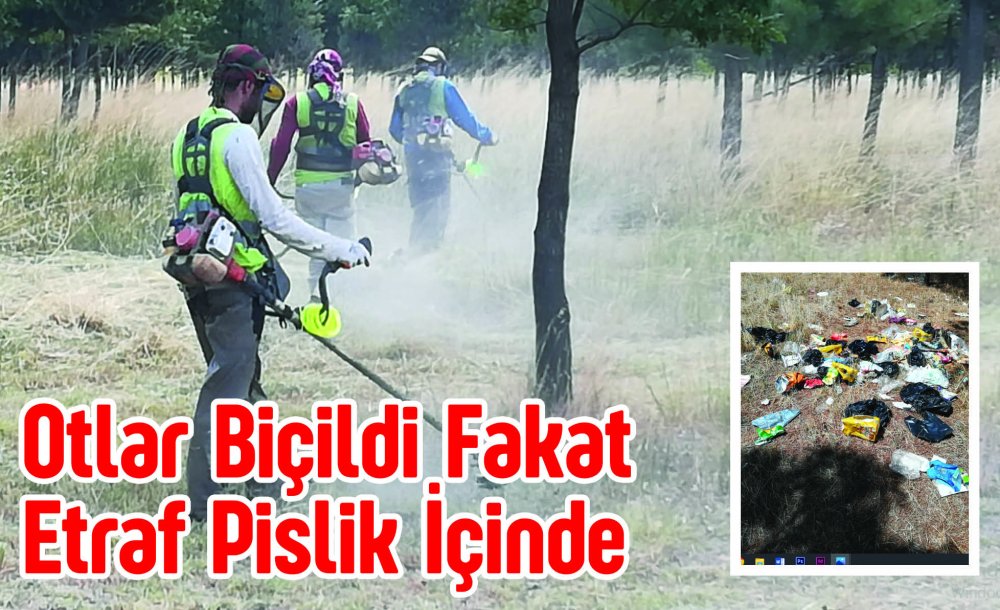 Otlar Biçildi Fakat Etraf Pislik İçinde