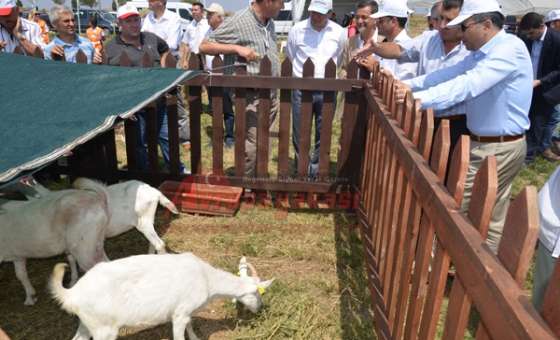 Tekirdağ Valisi Ali Yerlikaya;  “Bu Arazilerimizin Kıymetini Bilelim”