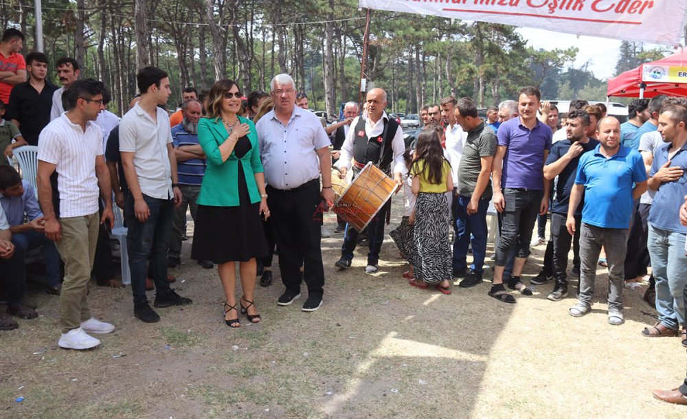 Ergene'deki Sinoplular Ulaş Çamlıkta Buluştu