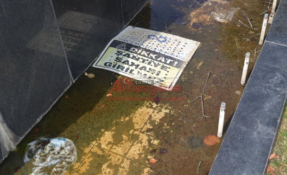 Balkan Anıtı'nın Temizliği Artık İhmal Edilmiyor